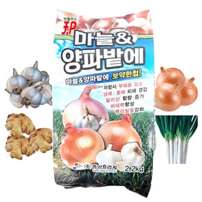 김장채소 마늘 양파 생강 파 쪽파 밭 비료 유황 소독 밑거름 웃거름 미량요소 복합비료 2.2kg 토양소독 기비제 추비 텃밭 비료 붕소 붕사 주말농장 영양제 +계량수저 식물푯말세트, 1개