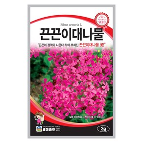 끈끈이대나물 씨앗 꽃씨 3g 꽃씨앗 세계종묘 모칸도, 1개
