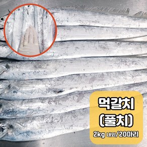 목포 먹갈치 풀치 손질 생물 젓갈용 조림용 10미 내외(손질전 1.5kg) 24미 내외(손질전 3kg내외), 1박스, 24마리 내(젓갈용 2.4kg)