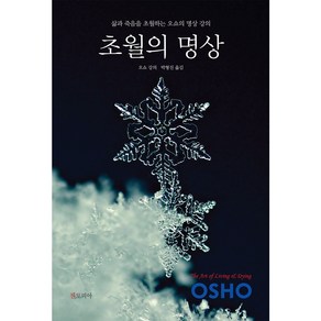 초월의 명상:삶과 죽음을 초월하는 오쇼의 명상 강의