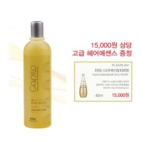 카필로 Y3 퀴노모엘레 500ml 실크단백질 모발강화에센스 +고급헤어에센스 40ml 증정, 1개