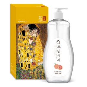 오늘의쉼표 세제 선물세트 답례품 자몽 4호 (주방세제 펌프 500ml )