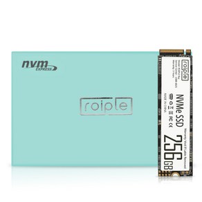 디오테라 NVMe SSD