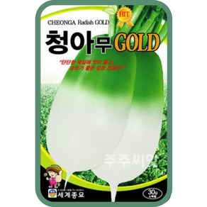 청아무 골드 씨앗 30g 감장 진용 가을 무우 종자 radish seed