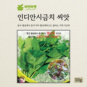 세계종묘 인디안시금치 씨앗 10g, 1개