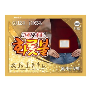 New 온종일 화롯불 핫팩 파스형 40g (24년 10월 생산품), 100개