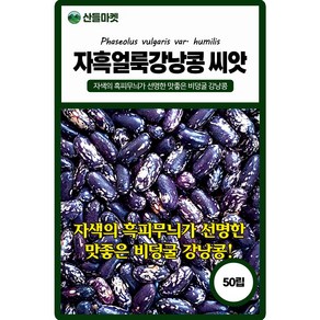 산들마켓 자흑얼룩 강낭콩씨앗 50립 흑피무늬 비덩굴성 강낭콩씨 종자, 1개