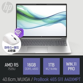 HP 프로북 465 G11 A40XMPT [사은품 증정], WIN11 Po, 16GB, 1TB, 실버