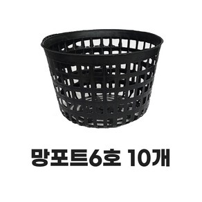 모두다 플라스틱 플분 분갈이 육묘 키우기 모종화분 망분 망포트 6호 10개