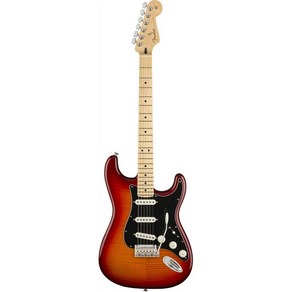 Fender(펜더) Fender 일렉트릭 기타 Player Stratocaster Plus Top Maple Fingerboard Aged Cherry Burst