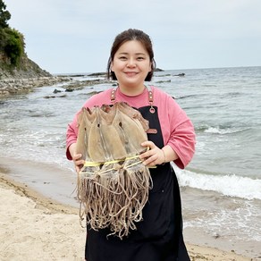 영덕 마른오징어 국산 동해안 건오징어 소중대 5미 10미