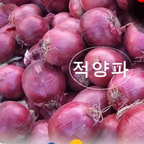 적양파 장아찌 3kg 신선농장, 1개