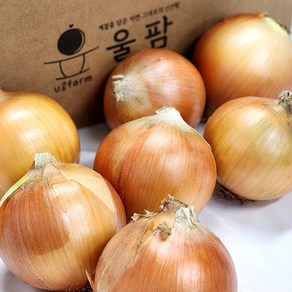 [울팜] 국내산 아삭 달달 단단한 창녕 양파, 1개, 양파(대) 5kg