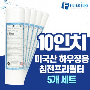 하이드로 큐어 10인치 미국산 에버퓨어 A-10 전처리 침전프리필터, 02_10인치 미제프리필터 5개, 5개