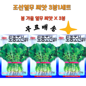 조선열무씨앗 토종 조선열무씨 25g 3봉1세트 봄 가을열무씨, 3개