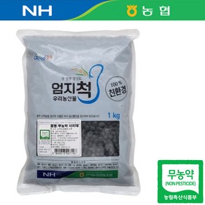 충북 제천 24년산 국산 농협 무농약 서리태 1kg 검은콩 서리태밥 콩밥, 1개