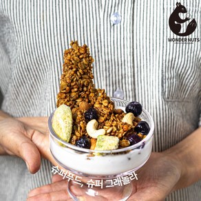 원더너츠 슈퍼 그래놀라 시리얼 플레인 수제, 350g, 1개