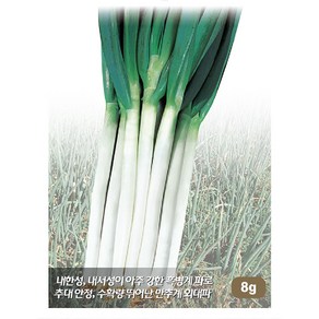 대파씨앗 8g/9g/10g/15g흑외대파씨앗, 1개