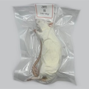 냉동 래트 레트 렛 1마리 [중] 140~180g (진공포장), 1개, 160g