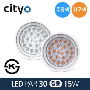 씨티오 LED PAR30 전구 15W E26 집중형 주광색, 1개, 15W 집중형-주광색_하얀빛