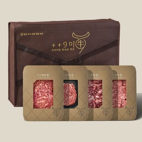 [구미우] 1++(9)등급 한우 눈꽃갈비 구이 선물세트 1.2kg (등심 300g/안심 300g/갈비살 300g/살치살 300g), 1개