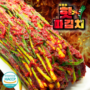 오마이찬 매운 실비파김치 - 전라도식 불맛 파김치, 1개, 500g