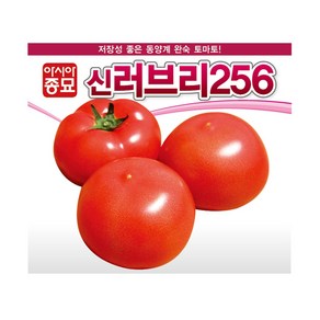 아시아종묘 씨앗 토마토 신러브리256 20립 3ea, 3개