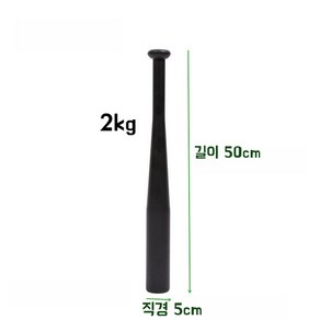 클럽벨 크로스핏 2kg 4kg 6kg, 1개