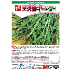 [모종심는아빠] 향기가 매우 좋은 다수확종 루꼴라 로켓샐러드와일드 씨앗 12g, 1개