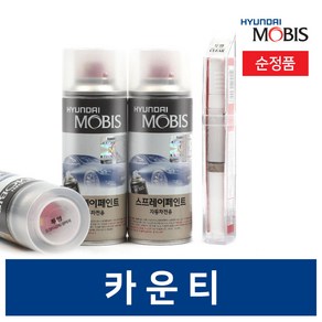 현대모비스 카운티 카페인트 붓 스프레이 블랙 화이트 1개, 프라이머