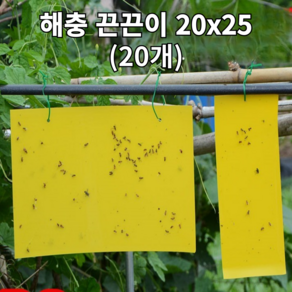 투스롱 해충 끈끈이 농사 과수원 벌레 대사이즈 20X25사이즈, 1세트, 20매