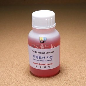 아세트산 카민 100ml/과학 실험 키트 교구 도구 만들기