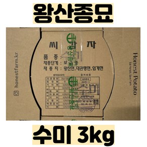 씨감자(수미) 3kg - 왕산종묘 정품 - 품질보증 - 강원도 채종 - 2025년 파종용 -, 1개