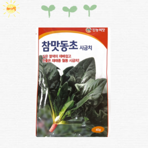 토종 재래 참맛동초 시금치 500g 씨앗 씨 종자, 1개