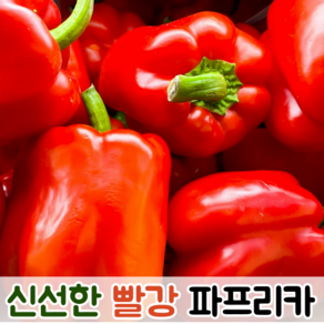 국산 싱싱한 아삭아삭 못난이 빨강 파프리카 1kg 2kg 5kg / 못난이파프리카 야채 파프리카5kg 빨강파프리카 파프리카빨강 빨간파프리카 못난이파프리카혼합, 1개