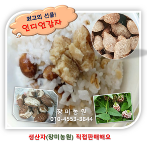 인디언감자(아피오스) 3kg/5kg/10kg 생산자 직판, 5kg, 1개