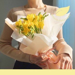 [정아네식탁] 프리지아 후리지아 생화 꽃다발 택배, 1개, 프리지아 20줄기+포장