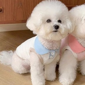 [퐁펫] 골지카라 나시 (Pet708)_(강아지옷 고양이옷 반려동물 애견 애묘 원피스 나시티 티셔츠 뚱냥이 코스튬 봄 가을 여름), 스카이카라, 1개