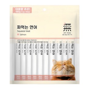 무마진 고양이 짜먹는 간식 40p, 연어, 480g, 1개