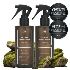 히이즈 젠틀브리즈 우디포레스트 옷탈취제 실내방향제 다용도탈취제 항균, 2개, 200ml