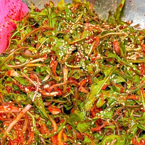 농가살리기 전라도식 여린 민들빼기 겉절이김치 (민들레), 1개, 500g