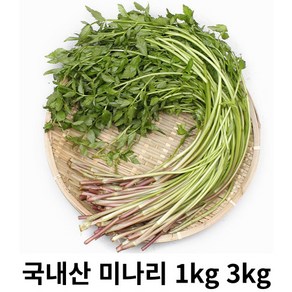 미나리 1kg 2kg 3kg 국내산 산지직송 한재 한방 미나리 밭미나리 무침 삼겹살 김장 향긋함 청도미나리 건강나물 뿌리야채 다이어트채소, 1박스