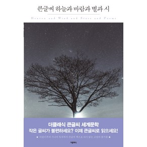 하늘과 바람과 별과 시(큰글씨):, 더클래식, 윤동주 저