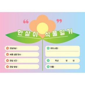 한살이 식물일기(관찰일기쓰기) 5권세트