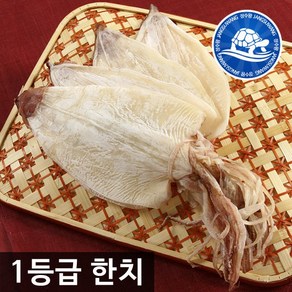 장수왕 1등급 반건 한치 1kg 모음 중부시장도매 반건조, 1개, M (30미 내외) 1kg