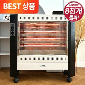 NEW 까르페 2 in 1 전기히터 PRO 원적외선 3D 입체난방 대형 카본히터(무선리모컨 증정), NY-33H