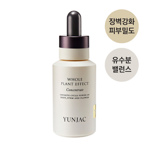 연작 전초 컨센트레이트 피부장벽 탄력 강화 에센스, 컨센트레이트 40ml, 1개