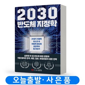 2030 반도체 지정학:21세기 지정학 리스크 속 어떻게 반도체 초강국이 될 것인가, 성안당, 오타 야스히코