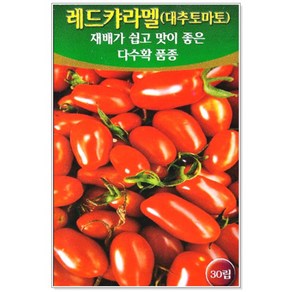 [토단] 레드캬라멜 방울토마토 씨앗 20립, 1개