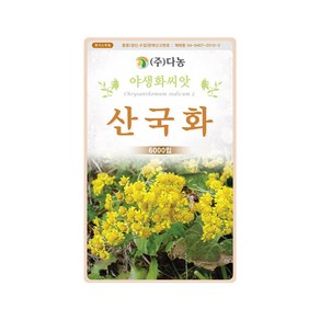 (DN) 산국화 씨앗(6000립), 산국화씨앗 6000립, 1개